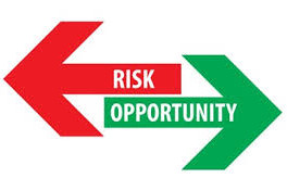 Opportunity Assessment Icon